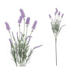 Vara lavanda 572cm | Ducaval | Envías 24/48 horas 
