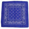 Pañuelo vaquero azul royal | Ducaval | Envíos 24/48h