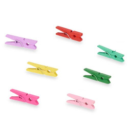 Set 13 pinzas madera multicolor pqñ | Ducaval | Envías 24/48 horas 