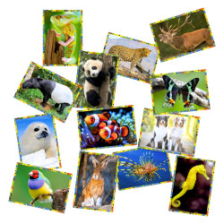 Sobre Cromos Mundo Animal | Ducaval | Envías 24/48 horas 