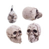 Calaveras 20x11x11 cm 12 ud | Ducaval | Envíos 24/48 horas