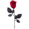 Flor araña rojo| Ducaval | Envías 24/48 horas 