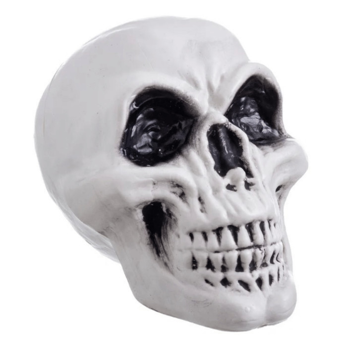Calavera Decorativa 15cm  | Ducaval | Envíos 24/48h