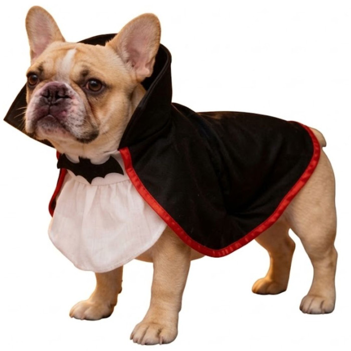 Disfraz mascota vampiro  | Ducaval | Envías 24/48 horas 