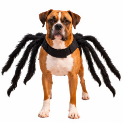 Disfraz araña mascota | Ducaval | Envías 24/48 horas 
