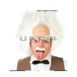 Peluca Einstein