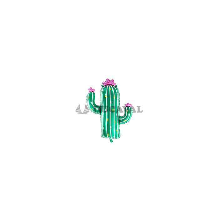 Foil cactus 60x80cm I Ducaval I Envíos 24/48h