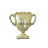 Globo mylar copa oro. Ducaval envios 24/48 horas