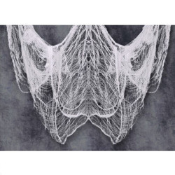 Tela blanca 200x500cm | Ducaval | Envíos 24/48 horas
