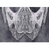 Tela blanca 200x500cm | Ducaval | Envíos 24/48 horas
