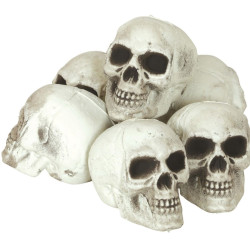 Pack 6 calaveras 8 cm | Ducaval | Envías 24/48 horas 