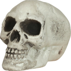 Pack 6 calaveras 8 cm | Ducaval | Envías 24/48 horas 