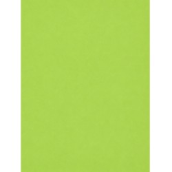 Goma EVA Pistacho 40 x 60 cm | Ducaval | Envíos 24/48 horas