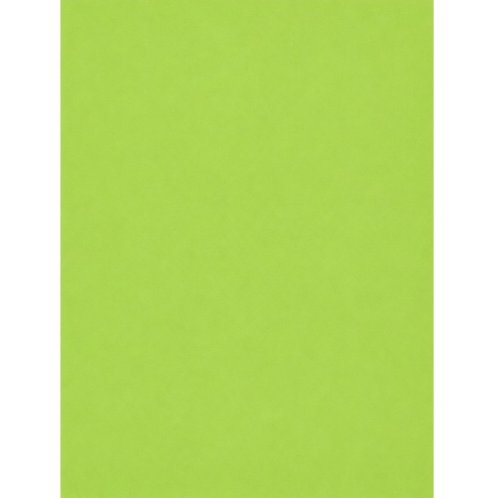 Goma EVA Pistacho 40 x 60 cm | Ducaval | Envíos 24/48 horas
