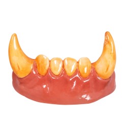 Dientes Con Colmillos De Hombre Lobo  | Ducaval | Envíos 24/48h