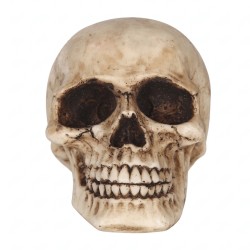 Calavera De Resina 8cm| Ducaval | Envíos 24/48 horas