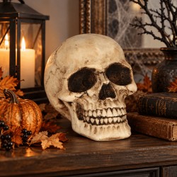 Calavera De Resina 8cm| Ducaval | Envíos 24/48 horas