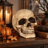 Calavera De Resina 8cm| Ducaval | Envíos 24/48 horas