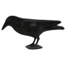 Cuervo Negro Decorativo 30 Cm | Ducaval | Envías 24/48 horas 
