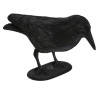 Cuervo Negro Decorativo 30 Cm | Ducaval | Envías 24/48 horas 