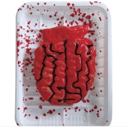 Bandeja con cerebro 18x13 cms | Ducaval | Envías 24/48 horas 