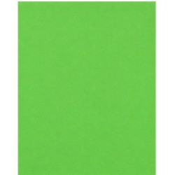 Goma EVA Verde Claro 40 x 60 cm | Ducaval | Envíos 24/48 horas