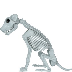 Esqueleto perro pvc 37 cm | Ducaval | Envías 24/48 horas 