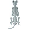 Esqueleto perro pvc 37 cm | Ducaval | Envías 24/48 horas 