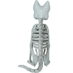 Esqueleto gato pvc 37 cm | Ducaval | Envías 24/48 horas 