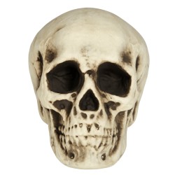 Calavera De Espuma Blanca 20 Cm | Ducaval | Envíos 24/48 horas 