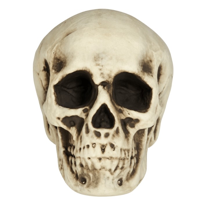 Calavera De Espuma Blanca 20 Cm | Ducaval | Envíos 24/48 horas 
