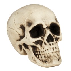 Calavera De Espuma Blanca 20 Cm | Ducaval | Envíos 24/48 horas 
