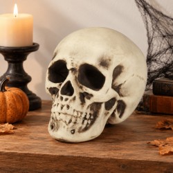 Calavera De Espuma Blanca 20 Cm | Ducaval | Envíos 24/48 horas 