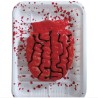 Bandeja Con Cerebro 18x13 Cm | Ducaval | Envíos 24/48 horas 