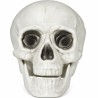 Set 3 Calaveras Decorativas 15 cm para Halloween | Ducaval | Envías 2