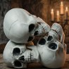 Set 3 Calaveras Decorativas 15 cm para Halloween | Ducaval | Envías 2