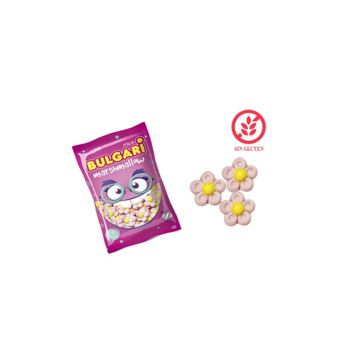 Margaritas rosas bolsa 100ud | Ducaval | envíos 24/48 horas