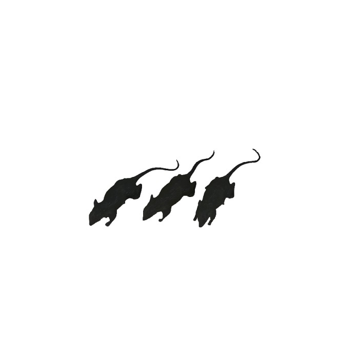 Ratas 6cm (3ud) | Ducaval | Envíos 24/48 horas