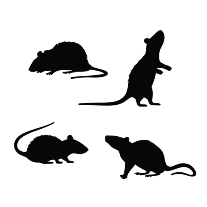 Siluetas Ratas Negras  | Ducaval | Envíos 24/48 horas