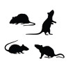 Siluetas Ratas Negras  | Ducaval | Envíos 24/48 horas