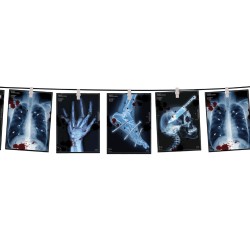 Guirnalda radiografias papel | Ducaval | Envías 24/48 horas 