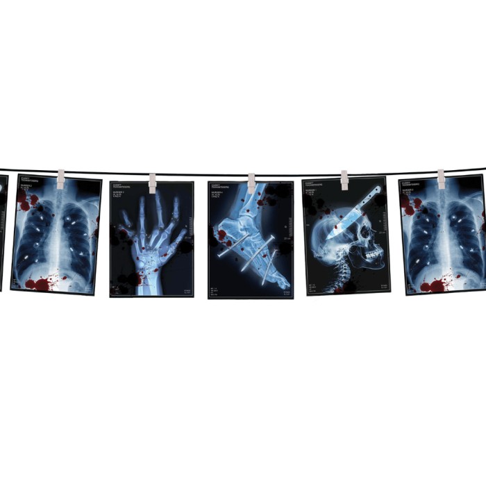 Guirnalda radiografias papel | Ducaval | Envías 24/48 horas 