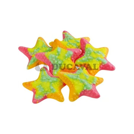 Estrellas de mar 1kg  Disfraces Ducaval envios 24/48 horas