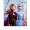 Servilletas Frozen II 33x33 20ud | Ducaval | Envíos 24/48 horas