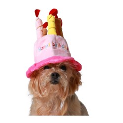 Gorro rosa feliz cumpleaños mascotas | Ducaval | Envías 24/48 horas 