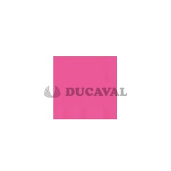 Servilletas rosa flúor doble capa 33x33 30 unidades | Ducaval | Envío