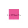 Servilletas rosa flúor doble capa 33x33 30 unidades | Ducaval | Envío