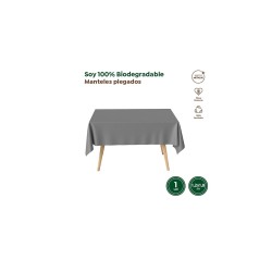 Mantel impermeable plata 1.20x1.80cm | Ducaval |