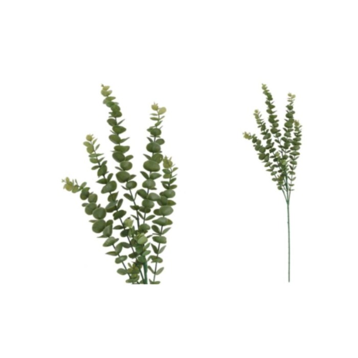 Vara eucalipto 582cm verde | Ducaval | Envías 24/48 horas 