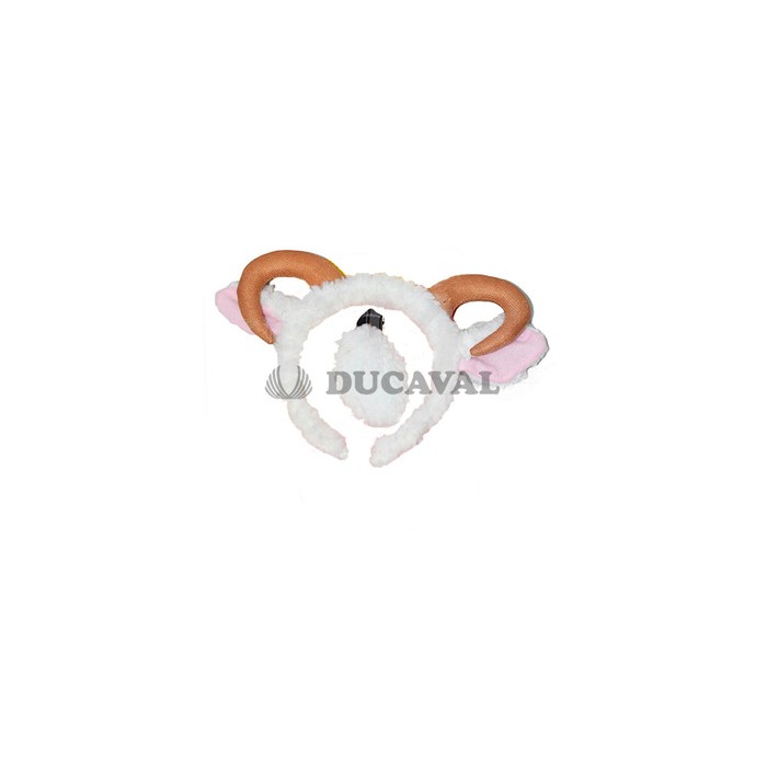 Conjunto oveja